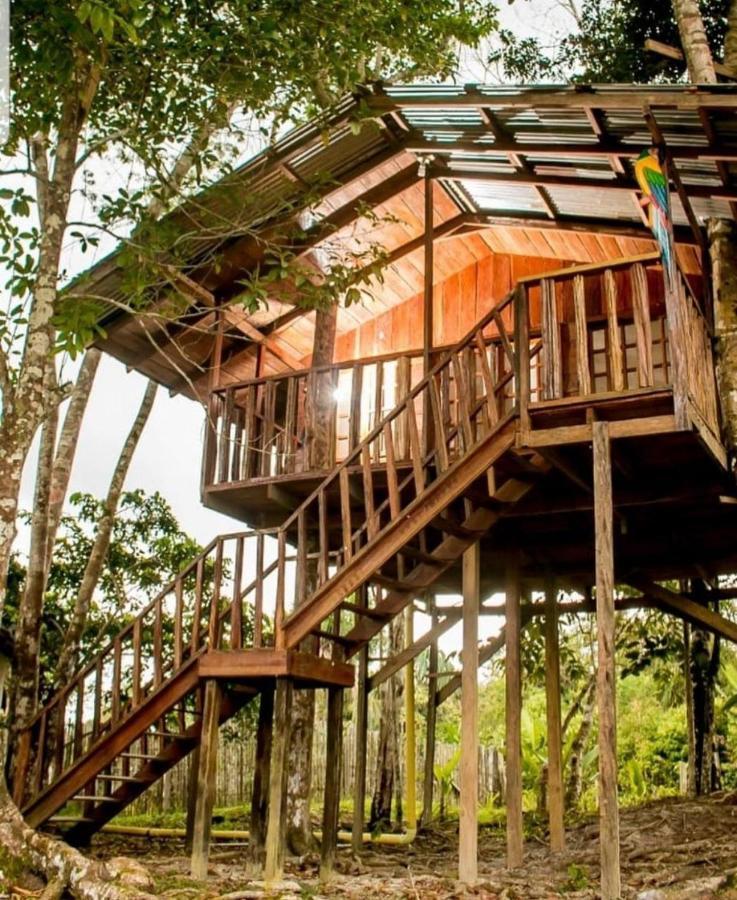 Hotel Karupa Amazonas Leticia Exteriör bild