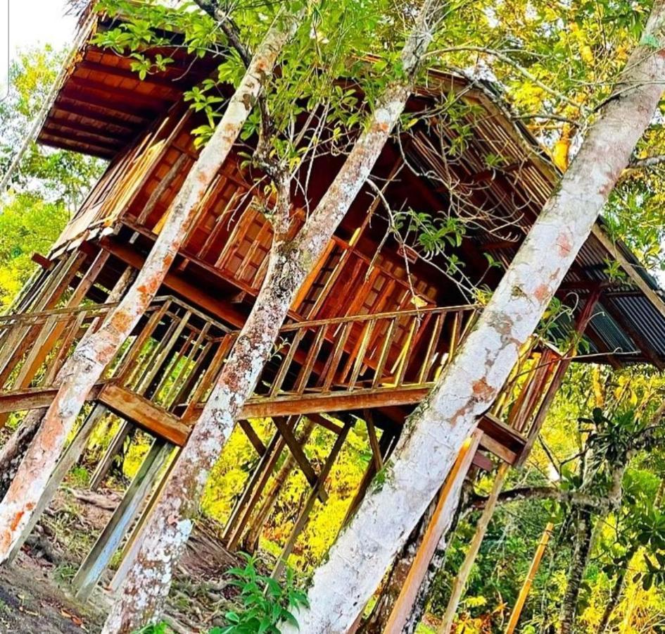 Hotel Karupa Amazonas Leticia Exteriör bild