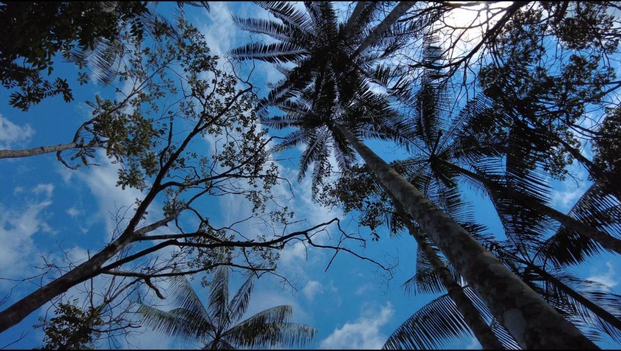 Hotel Karupa Amazonas Leticia Exteriör bild