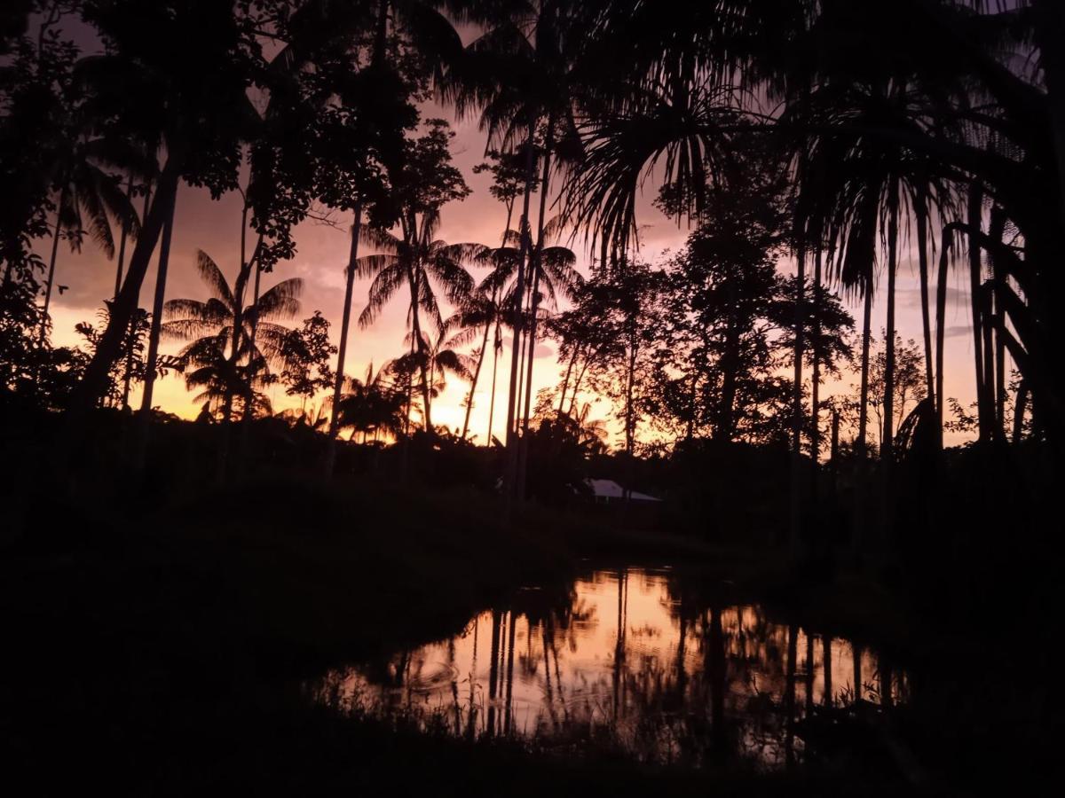 Hotel Karupa Amazonas Leticia Exteriör bild