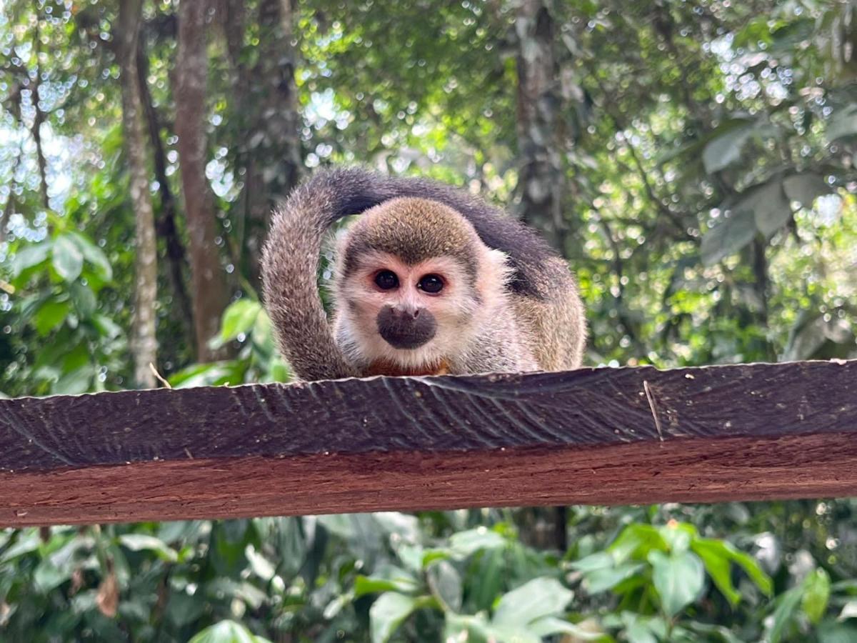 Hotel Karupa Amazonas Leticia Exteriör bild